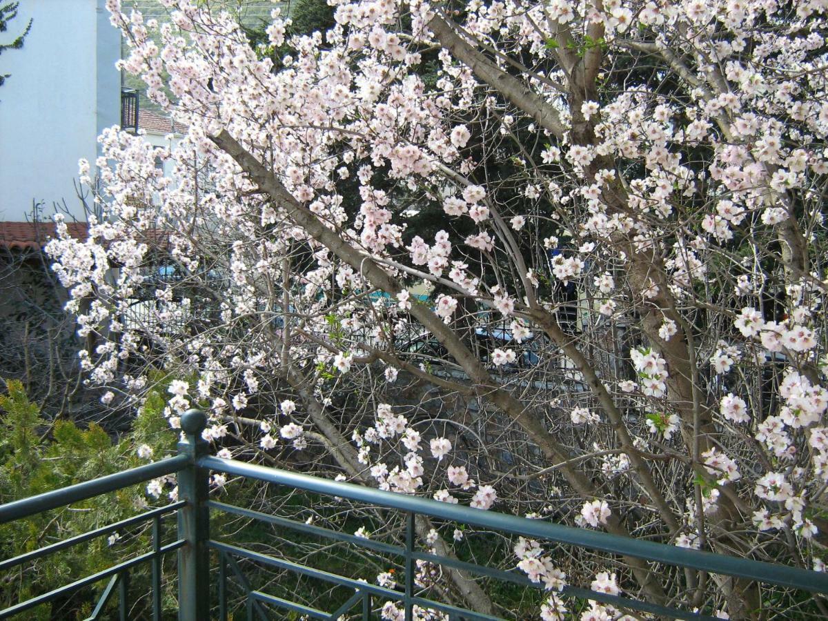 Filoxenia Apartment Levidhion Luaran gambar